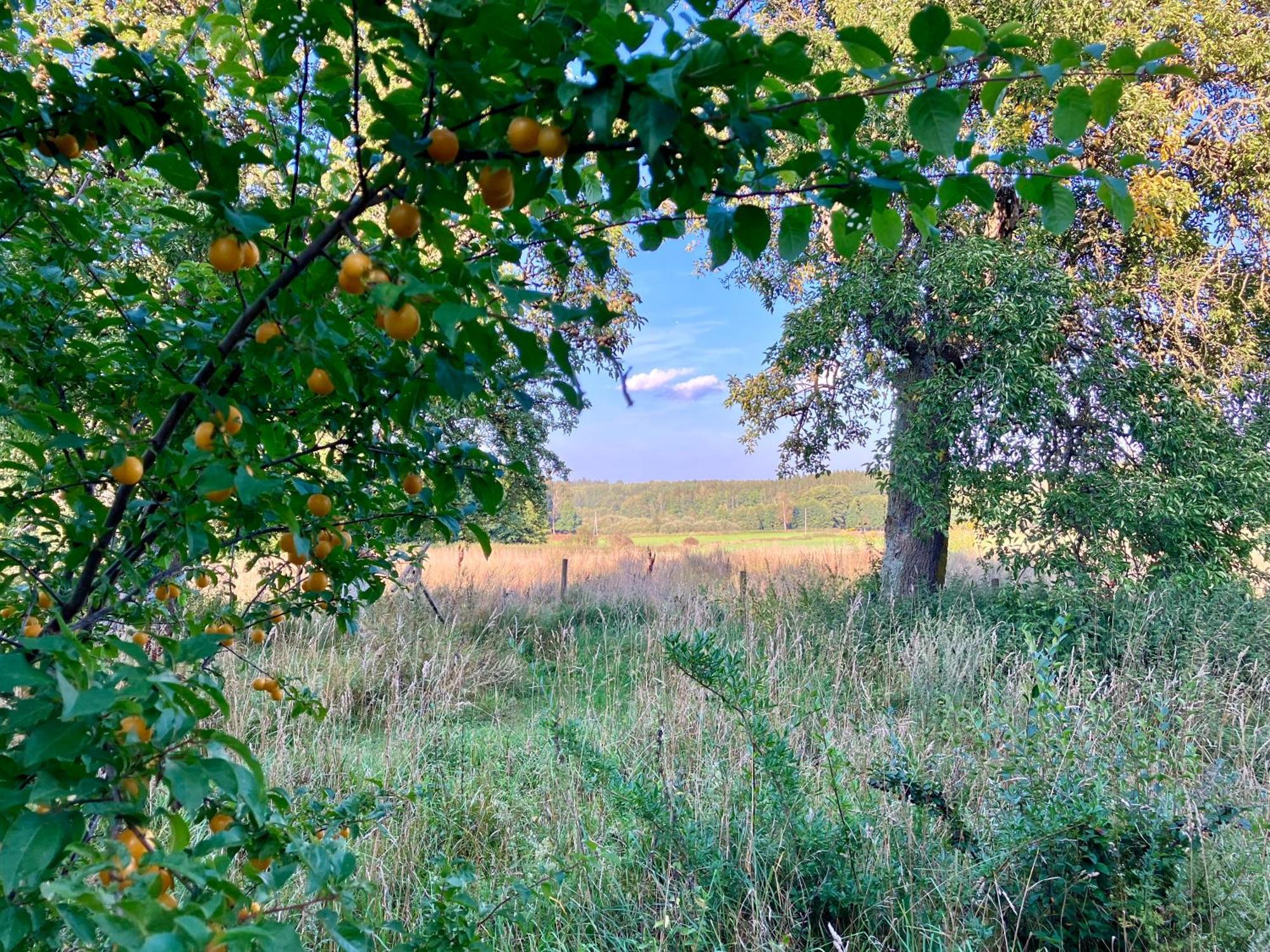 Lidhem Herrgard. Bed & Breakfast Och Mindre Laegenheter 빔메르비 외부 사진