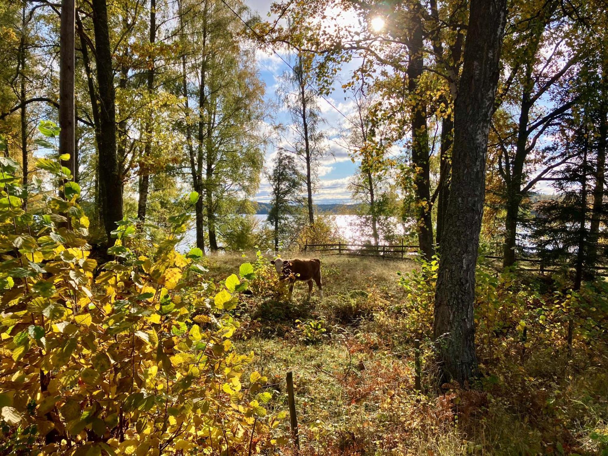 Lidhem Herrgard. Bed & Breakfast Och Mindre Laegenheter 빔메르비 외부 사진